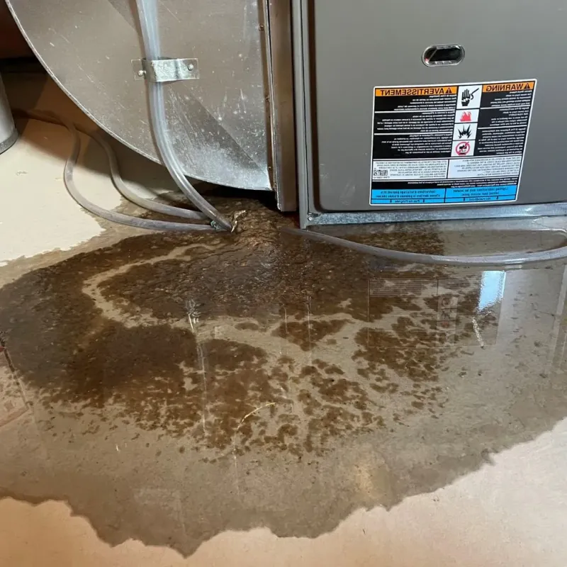 Pipe Burst and Leak Restoration in Andover, MA